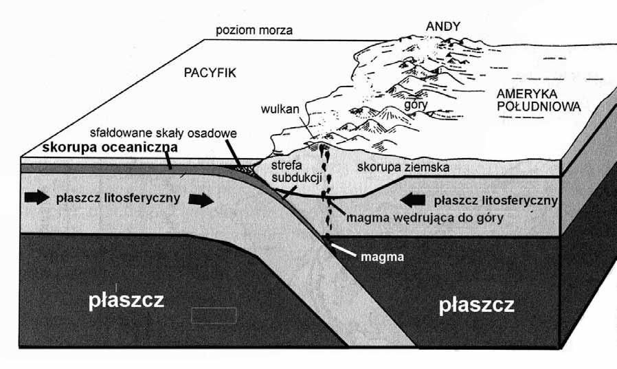 b) Podkreśl rodzaj skał, w których występują skamieniałości. Skały: magmowe, metamorficzne, osadowe. Zadanie 10. (1 pkt) Źródło: CKE 2006 (PR), zad. 13.