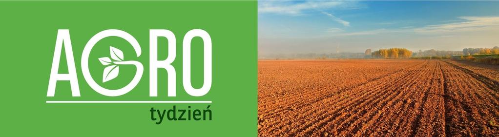 W pozostałych krajach, należących do czołowych eksporterów pszenicy, prawdopodobne są duże obniżki produkcji. W okresie od stycznia do lipca br., z Polski wyeksportowano 273,7 tys.