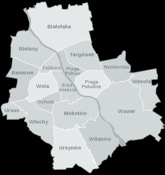 Profil publiczności MSN MIEJSCE ZAMIESZKANIA* 81% WARSZAWA 4% 6% 1% 19% 9% 6%