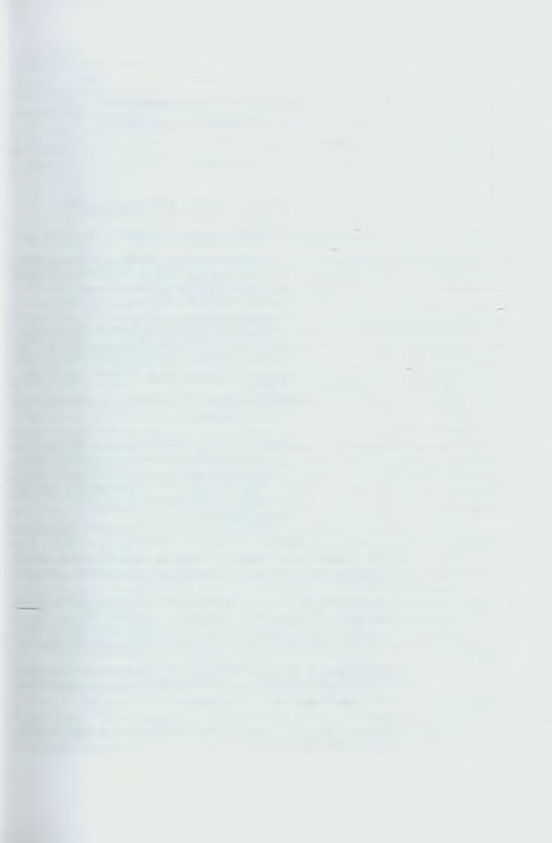 cd. tablicy 3. Lp. Rok Osoba 36. 1486 Johannes Stanislai de Theschen 37. 1487 Georgius Caspari de Theschyn 38. 1487 Martinus Petri de Theschyn dioc. Wratislaviensis 39.
