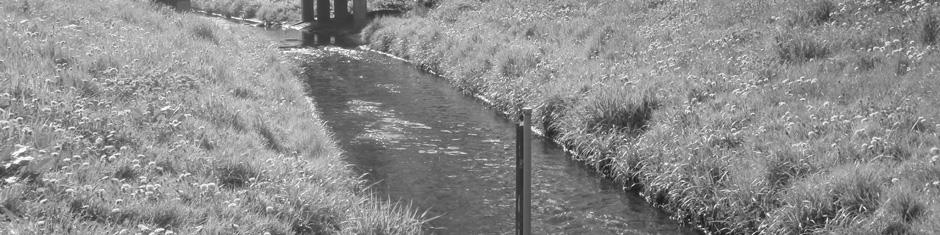 The Stream at the water gauge station of Rosoła (photo M.