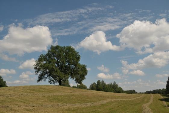 W pogodzie zawsze się coś dzieje - powiedział Mark Twain. Słowa te uświadamiają nam, że pogoda rzeczywiście jest przedmiotem powszechnego zainteresowania i fascynacji, a także badań naukowych.