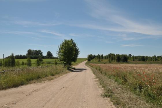 ludzkie życie. Pogoda to coś więcej aniżeli wiatr, deszcz i śnieg. To również niezwykłe zjawiska optyczne, które zmieniają wygląd nieba.