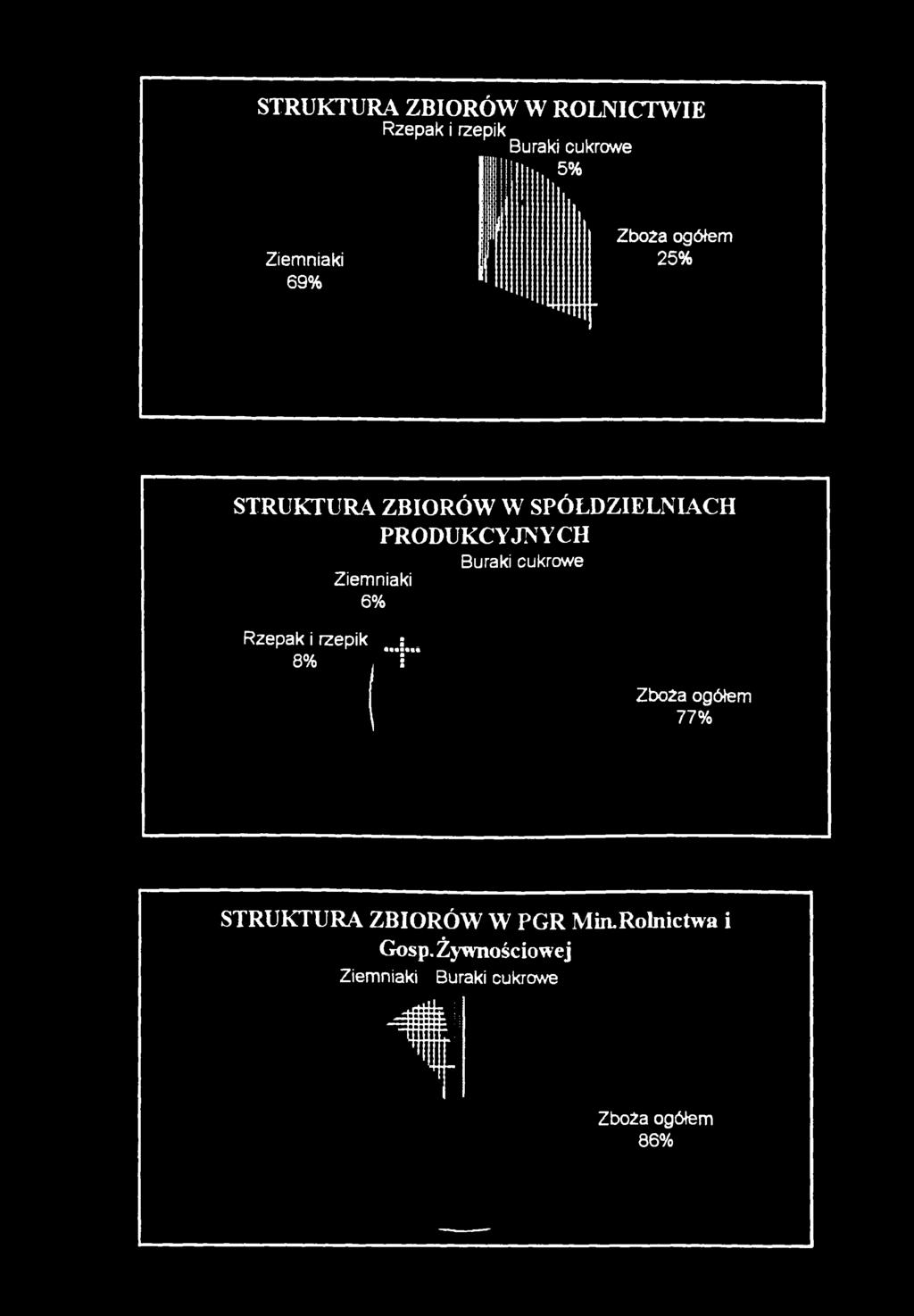 cukrowe Ziemniaki 6% Rzepak i rzepik 8% Zboża ogółem 77% STRUKTURA ZBIORÓW W