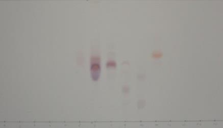 chromatogram nie