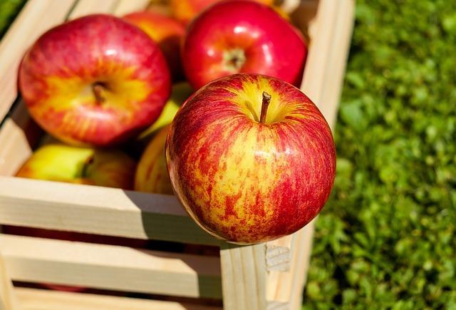 ecojabłko vs JABŁKO Producenci używają specjalnych wosków do nabłyszczania skórki jabłka.