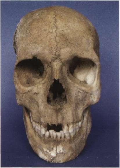 4. Smroków, grave 1 the skull
