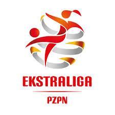 Osiągnięcia Mistrz Polski 2013/2014 1x 8x