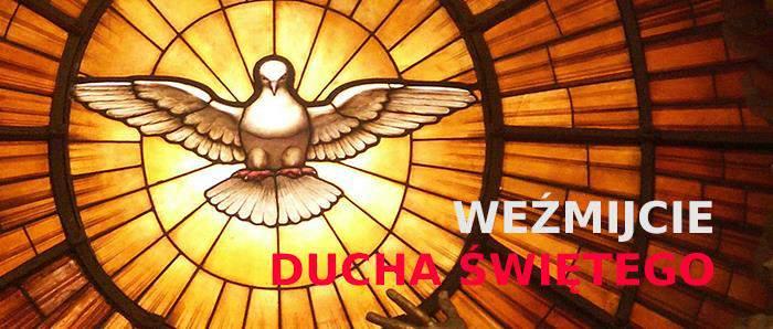 Kościołem i mocniej są zobowiązani jako prawdziwi świadkowie Chrystusa do szerzenia i obrony wiary słowem i czynem.