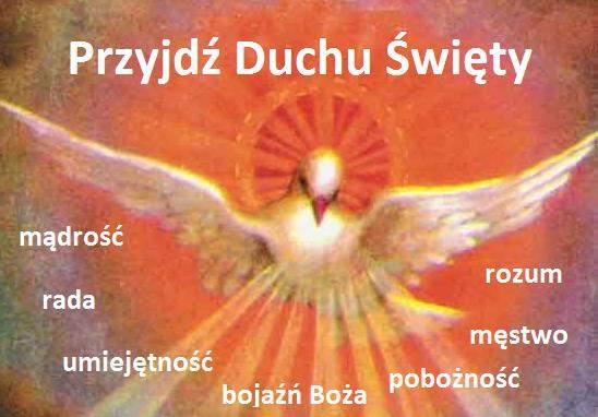 Młodzież z naszej Parafii przystępująca do sakramentu bierzmowania 11 maja 2017 roku 1. Bednarczuk Maksymilian Jan Chrzciciel 2. Blaszczyk Paulina Marta 3. Burczyk Sandra Anna 4.