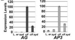 2012) Regulacja rozwoju u zwierząt i roślin przykłady konwergencji Ras activation ANIMALS kinases of the PLANTS type not found in animals Pattern formation in development Chromatin Embryo development