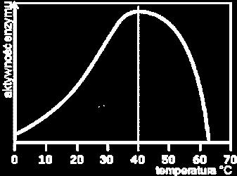 Laboratorium 5 Wpływ temperatury na aktywność enzymów. Inaktywacja termiczna Prowadzący: dr inż. Karolina Labus 1.