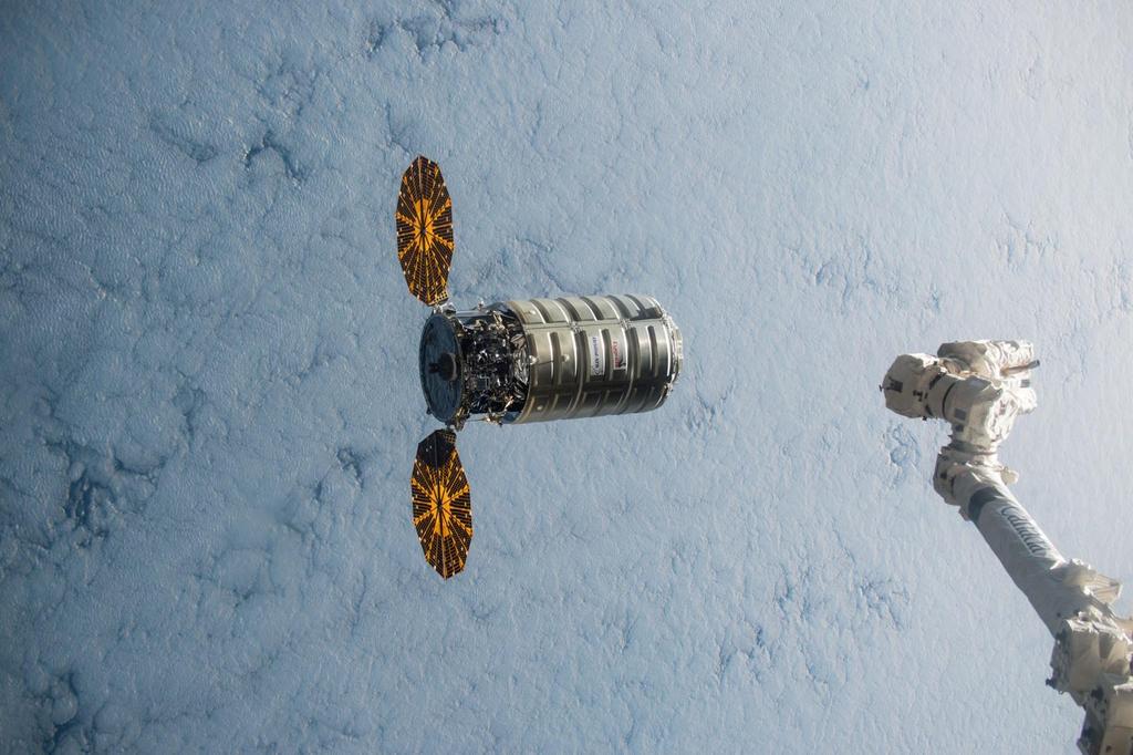 Cygnus-4