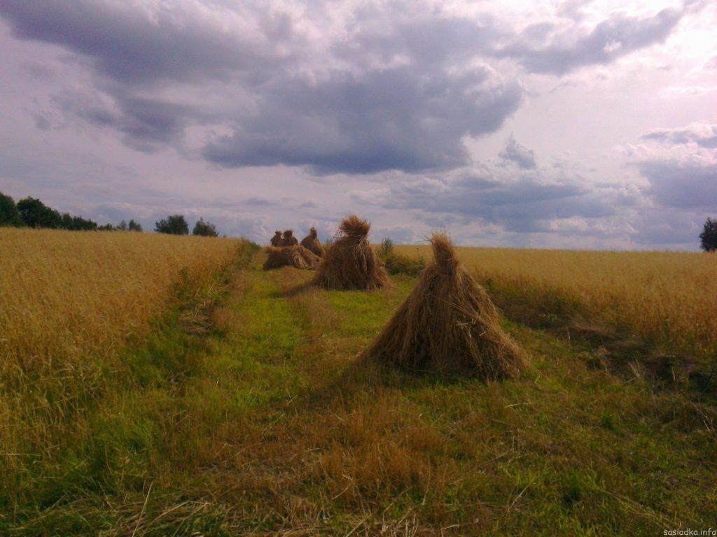 zgłoś się Informujemy Młodych rolników z terenu gminy Sułów o szkoleniu organizowanym w naszej gminie 18 sierpnia 2015 o godz. 10, budynku Remizy Osp Sułów.