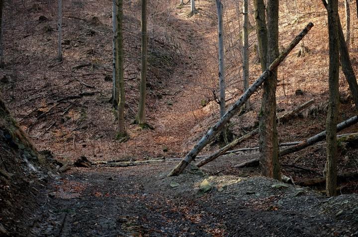 Skarpety SmartWool PhD Outdoor Medium Crew Socks testowałem podczas kilku wypadów, w tym dwóch w Beskid Śląski, oraz jeden podczas wypadu plenerowego z aparatem do Doliny Wapienicy u stóp Beskidu