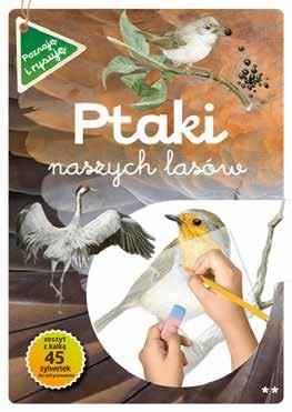 Ptaki naszych lasów cz. II 45 autor: rys.