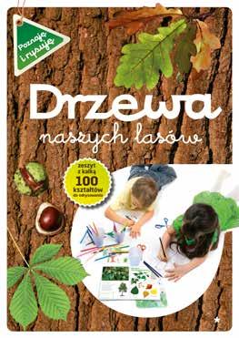 gatunków drzew rosnących w lasach i parkach. Przyjrzyj się ilustracjom, odrysuj je na kalce, używając ołówka i kredek.