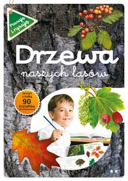 gatunków drzew rosnących w lasach i parkach. Przyjrzyj się ilustracjom, odrysuj je na kalce, używając ołówka i kredek.