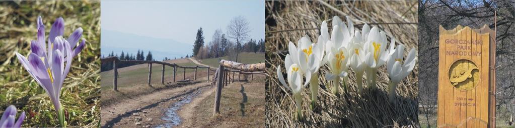 Związek Harcerstwa Polskiego Komenda Hufca im Władysława Planetorza w Kędzierzynie-Koźlu REGULAMIN XIX Ogólnopolskiego Rajdu Harcerskiego Druhny, Druhowie Zapraszam serdecznie do udziału już w 19