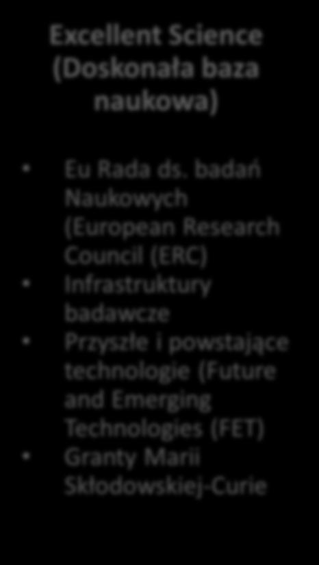 Excellent Science (Doskonała baza naukowa) Eu Rada ds.