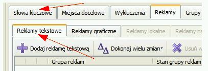 2. Opcję kierowania reklamy na Sieć Partnerską zaznacza się w ustawieniach kampanii w edytorze.