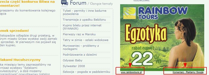 Graficzne reklamy AdWords W obrębie reklam graficznych Google możemy wyróżnić następujące formy reklamowe AdWords to: o tradycyjne reklamy graficzne o teklamy animowane o reklamy Flash o gadżety