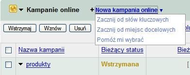 można wybrać pokazywanie wszystkich kampanii lub też tylko tych, które są aktywne w danym momencie) 4. Dość ważny przycisk Dostosuj kolumny.