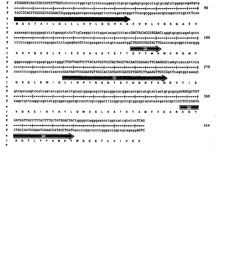 Figura 4 Sekwencje DNA i