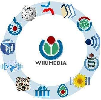 Wikimedia Србије (3 grudnia 2005), brytyjska - Wikimedia UK (2 lutego 2006), holenderska - Wikimedia Nederland (27 marca 2006), szwajcarska - Wikimedia CH (14 maja 2006), izraelska - Wikimedia Israel