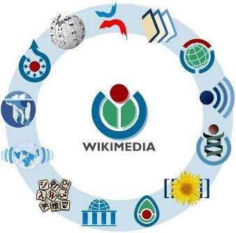 Wikimedia Србије (3 grudnia 2005), brytyjska - Wikimedia UK (2 lutego 2006), holenderska - Wikimedia Nederland (27 marca 2006), szwajcarska - Wikimedia CH (14 maja 2006), izraelska - Wikimedia Israel