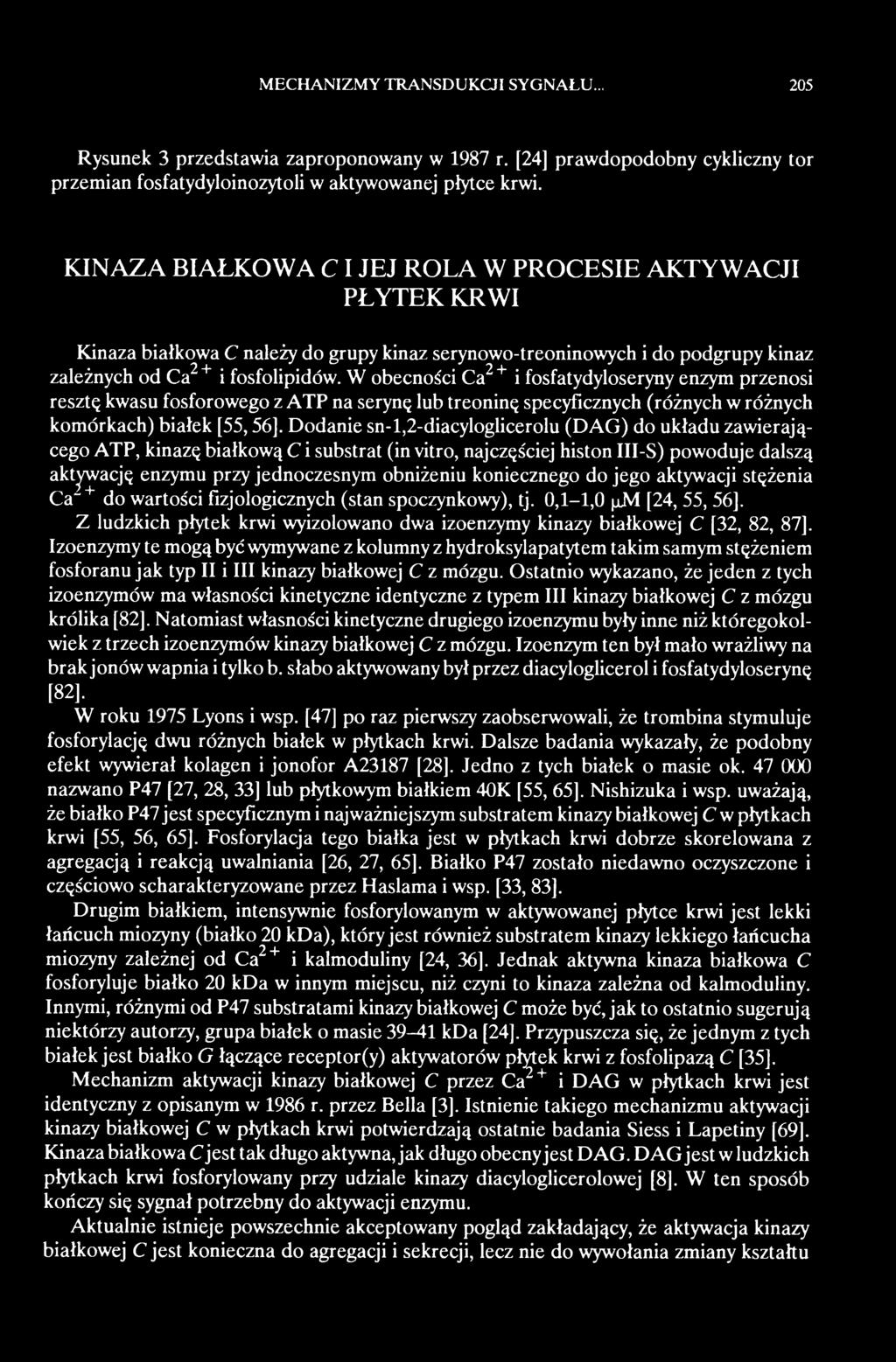 koniecznego do jego aktywacji stężenia Ca + do wartości fizjologicznych (stan spoczynkowy), tj. 0,1-1,0 μμ [24, 55, 56].