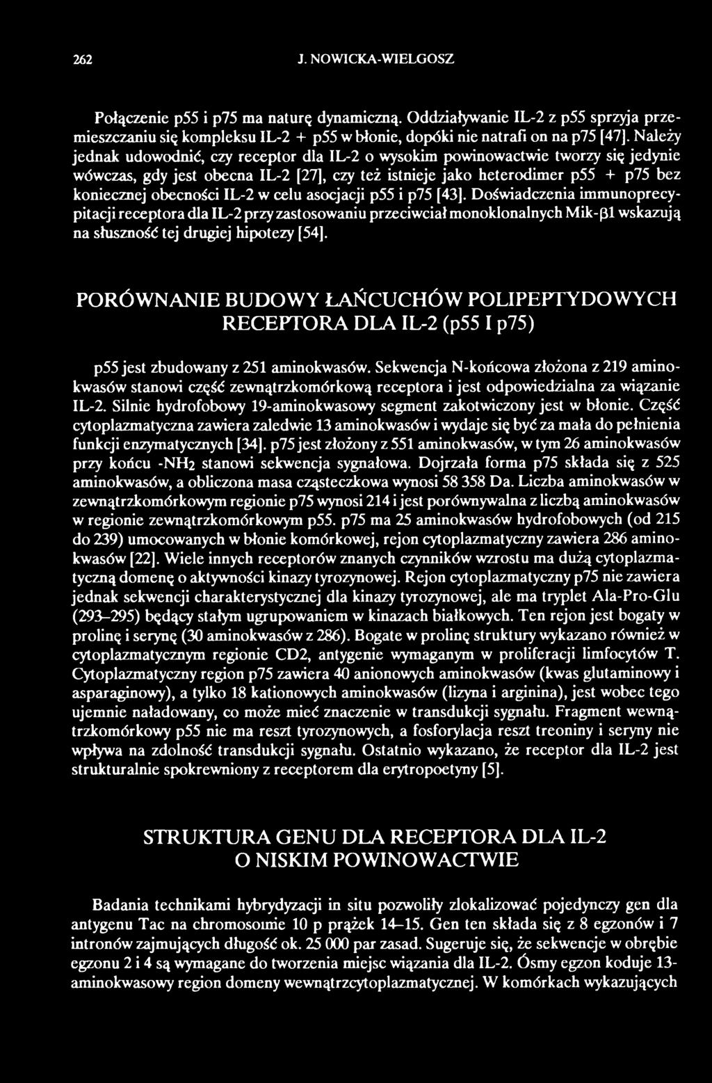 Sekwencja N-końcowa złożona z 219 aminokwasów stanowi część zewnątrzkomórkową receptora i jest odpowiedzialna za wiązanie IL-2. Silnie hydrofobowy 19-aminokwasowy segment zakotwiczony jest w błonie.