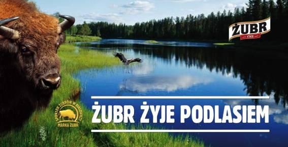 Białystok i Podlasie to matecznik marki Żubr to region, z którego wywodzą się korzenie marki, a Żubr jest nierozerwalnym elementem jej tożsamości Żubr żyje