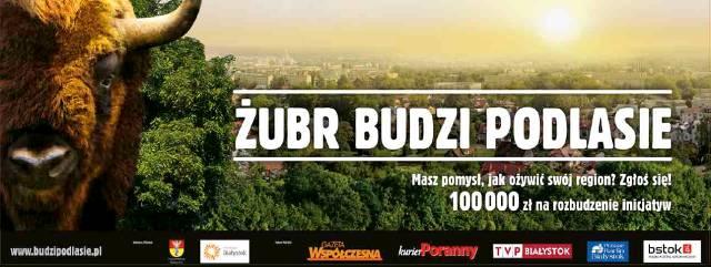 2008 - ŻUBR BUDZI PODLASIE, edycja I Mieszkańcy regionu nadesłali 75 projektów ( Kultura 29, Akcje społeczne 28.