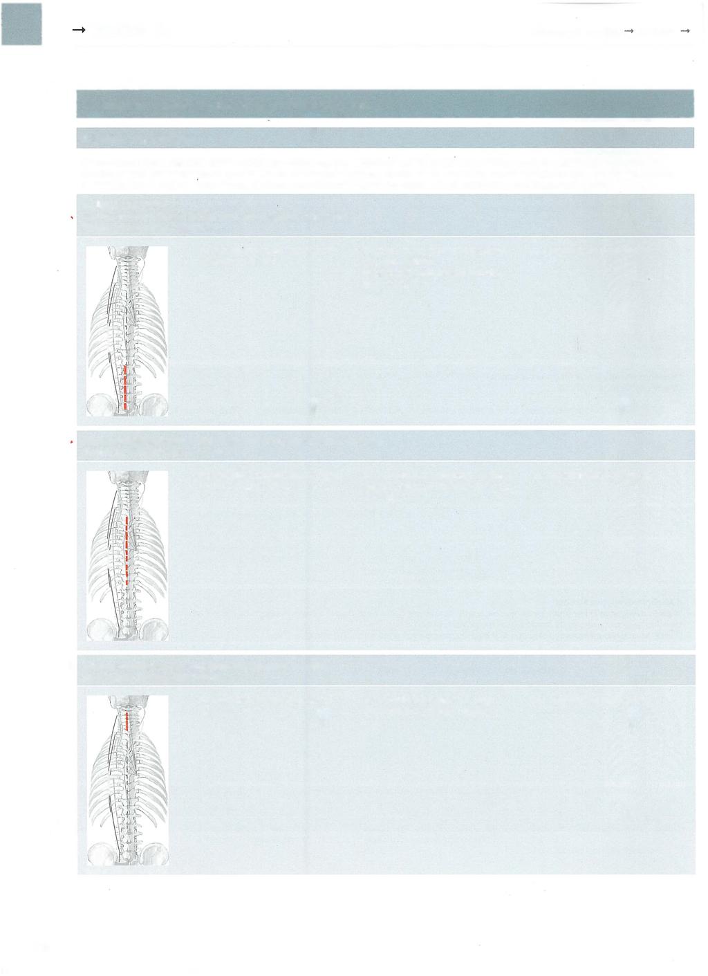 Tablica 18 Głowa -* szyja tułów 18 Mięśnie właściwe (głębokie) grzbietu (ciąg dalszy) Ii Pasmo przyśrodkowe Pasmo przyśrodkowe głębokich mięśni grzbietu w odcinku szyjnym i lędźwiowym położone jest
