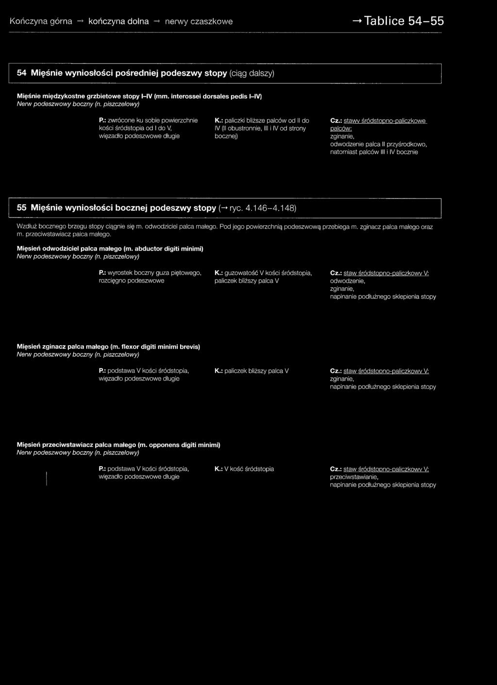 : paliczki bliższe palców od II do IV (II obustronnie, III i IV od strony bocznej) Cz.