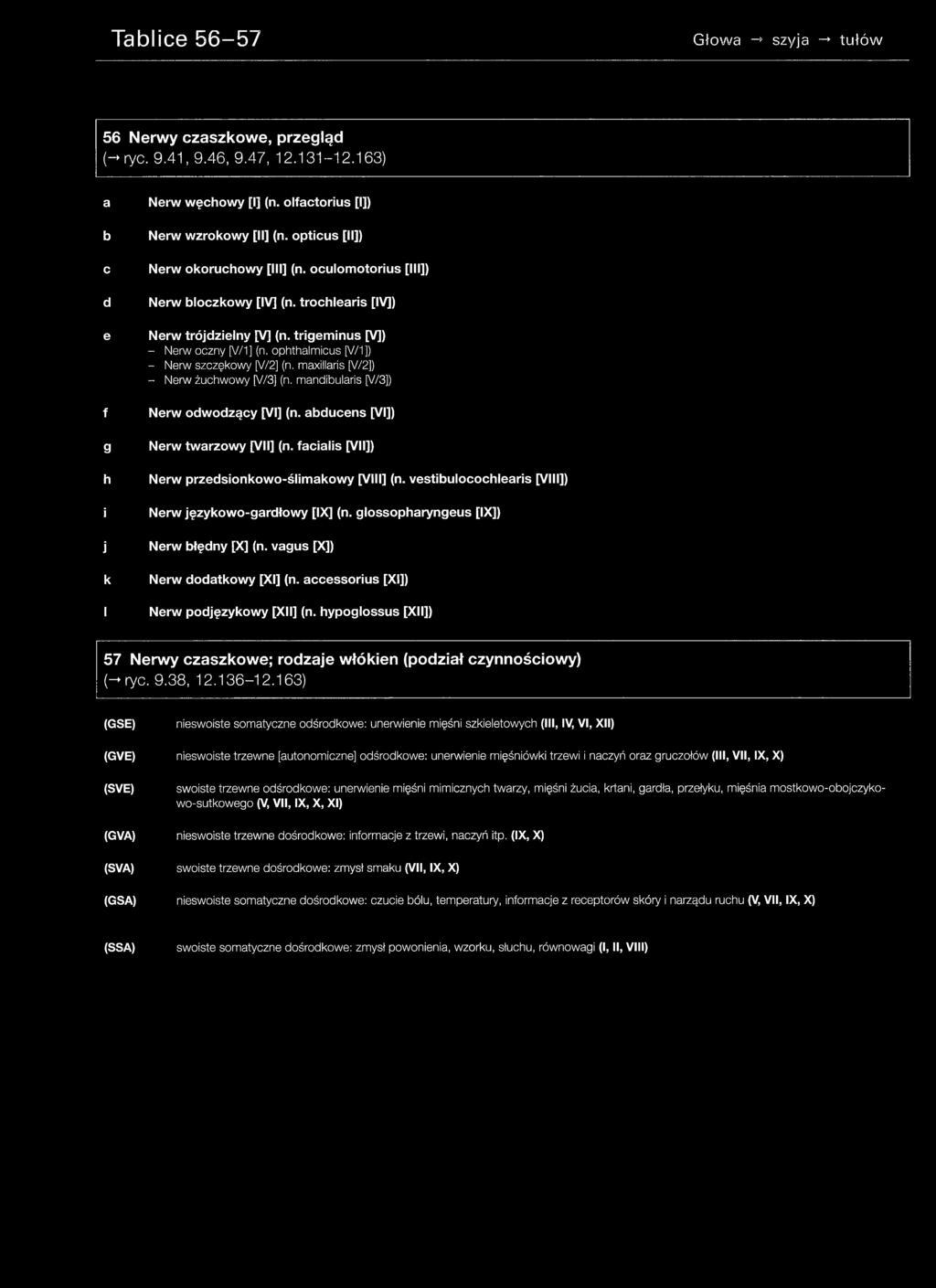 ophthalmicus [V/1]) - Nerw szczękowy [V/2] (n. maxillaris [V/2]) - Nerw żuchwowy [V/3] (n. mandibularis [V/3]) Nerw odwodzący [VI] (n. abducens [VI]) Nerw twarzowy [VII] (n.