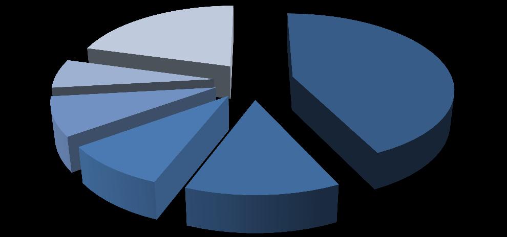 za I kwartał 2011 r. Pozostali Akcjonariusze 20,66% OFE PZU "ZŁOTA JESIEŃ" 6,16% MCI.PrivateVentures FIZ 42,98% MCI Management SA 8,21% Arthur Holding 9,11% MCI.PrivateVentures 12,88% 7.