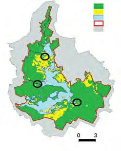 wilgotnych (Molinion i Calthion), a w obniżeniu terenu zbiorowiska szuwarów wielkoturzycowych (Magnocaricion).