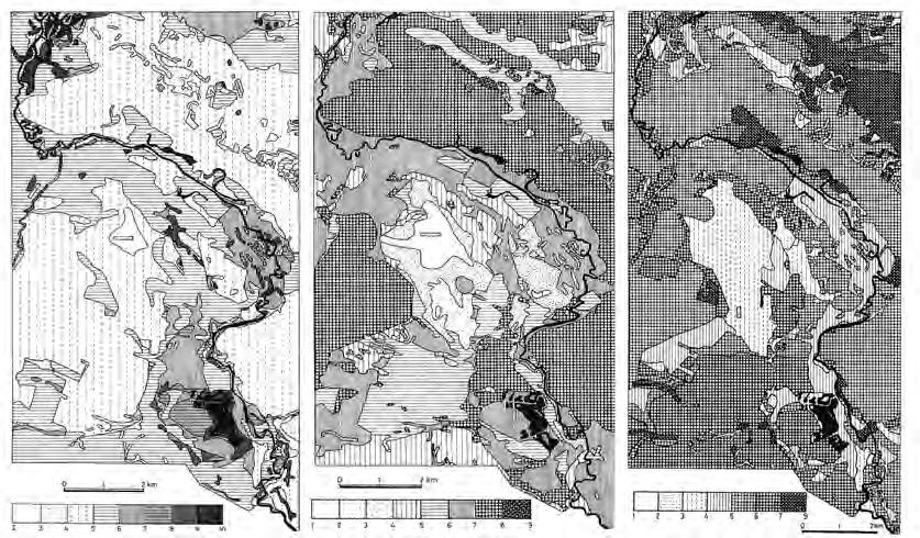 Wykorzystanie wskaźników ekologicznych do oceny stanu i zmian środowiska geograficznego 61 tworzące duże i bardzo duże płaty we wszystkich częściach terenu.