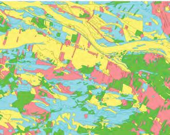 Wykorzystanie wskaźników ekologicznych do oceny stanu i zmian środowiska geograficznego 69 Synantropizacja krajobrazu odbija się także w subtelnych i nie zawsze dostrzeganych zmianach struktury