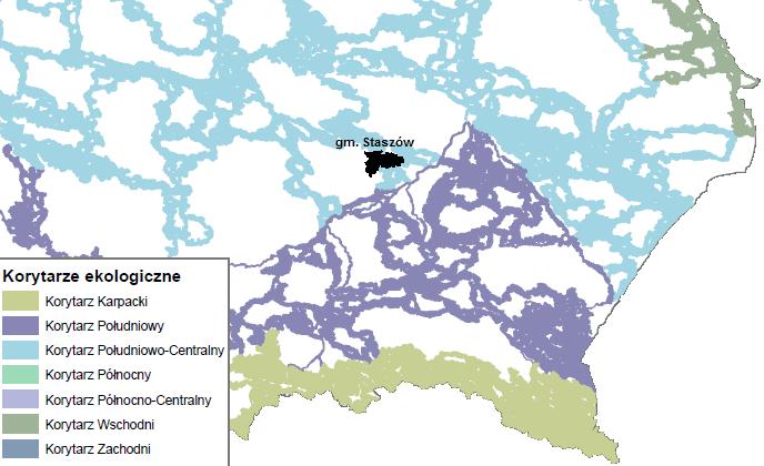 Ponadto przez wschodni fragment Gminy Staszów przebiega jeden z 7 głównych korytarzy ekologicznych - Korytarz Południowo-Centralny (KPdC).