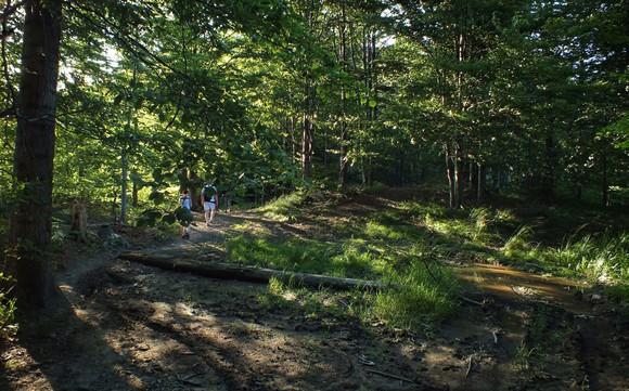 Kilka minut po opuszczeniu Przełęczy Przysłop Cisowy 795m n.p.m. dotrzemy do ruin dawnej, kamiennej koliby.