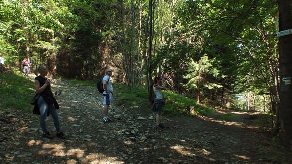 Polana pod Kościelcem, inaczej nazywana Stok pod Kościelcem oferuje piękne widoki na trzy beskidzkie pasma, w tym na ostatnim planie Beskid Żywiecki, po prawej Śląski, na pierwszym planie Beskid