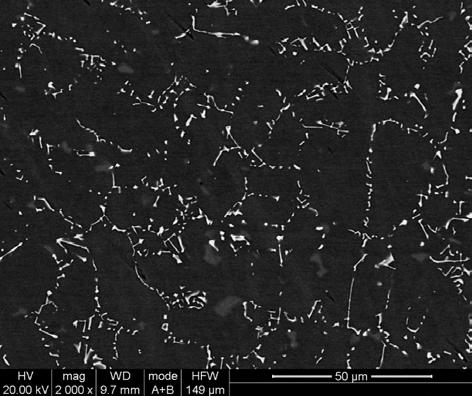 260 Praca zbiorowa Prace IMŻ 1 (2010) cania w temperaturze 1260 o C. Skład chemiczny badanego stopu przedstawiono w tabl. 1. Tablica 1. Skład chemiczny badanego stopu MAR M509 (% mas.) Table 1.