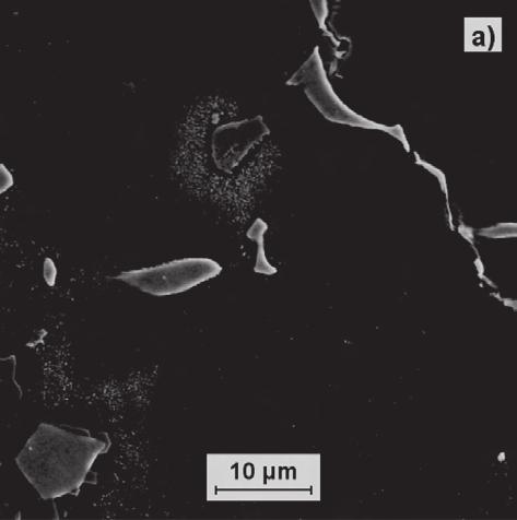 Microstructure of MAR M509 superalloy (a) in the as-cast conditions, and (b) after the solution heat treatment at 1260oC for 6 hours Jest to spowodowane rozpuszczaniem się węglików M23C6