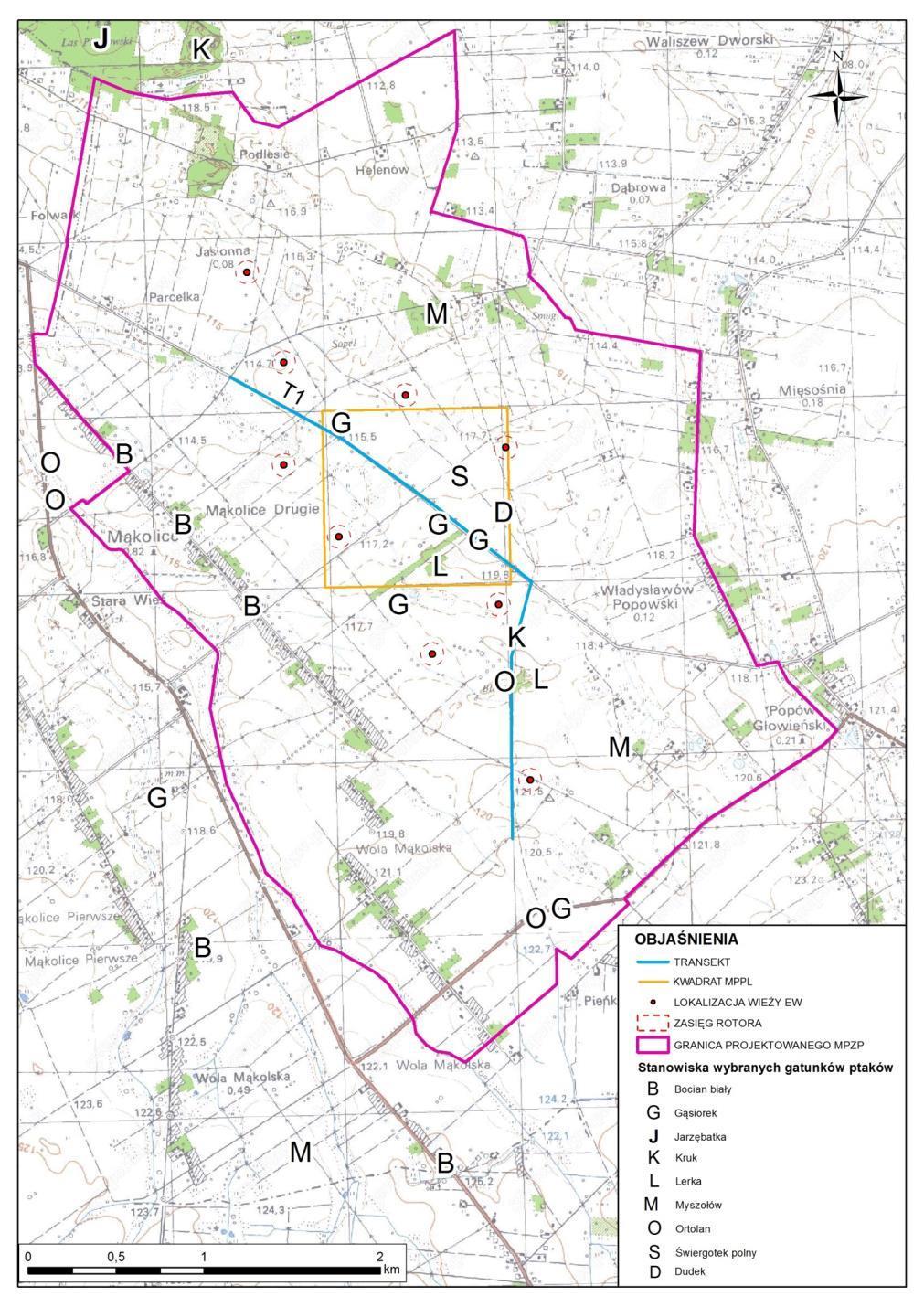 Prognoza oddziaływania na środowisko projektu zmiany miejscowego planu zagospodarowania przestrzennego Gminy Głowno dla obszaru części wsi Mąkolice, części wsi Wola Mąkolska, wsi Jasionna, części wsi