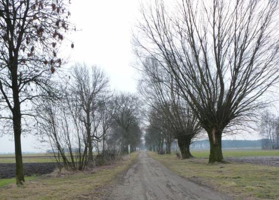 Prognoza oddziaływania na środowisko projektu zmiany miejscowego planu zagospodarowania przestrzennego Gminy Głowno dla obszaru części wsi Mąkolice, części wsi Wola Mąkolska, wsi Jasionna, części wsi