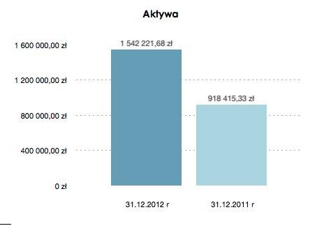 systematycznie realizuje strategię rozwoju określoną w Dokumencie Informacyjnym.