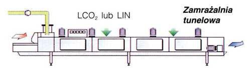 strefa II: schładzanie produktu w intensywnym strumieniu par azotu o temperaturze od -100 do -190ºC, strefa III: zamrażanie produktu, strefa IV: wyrównanie temperatury. Rys.
